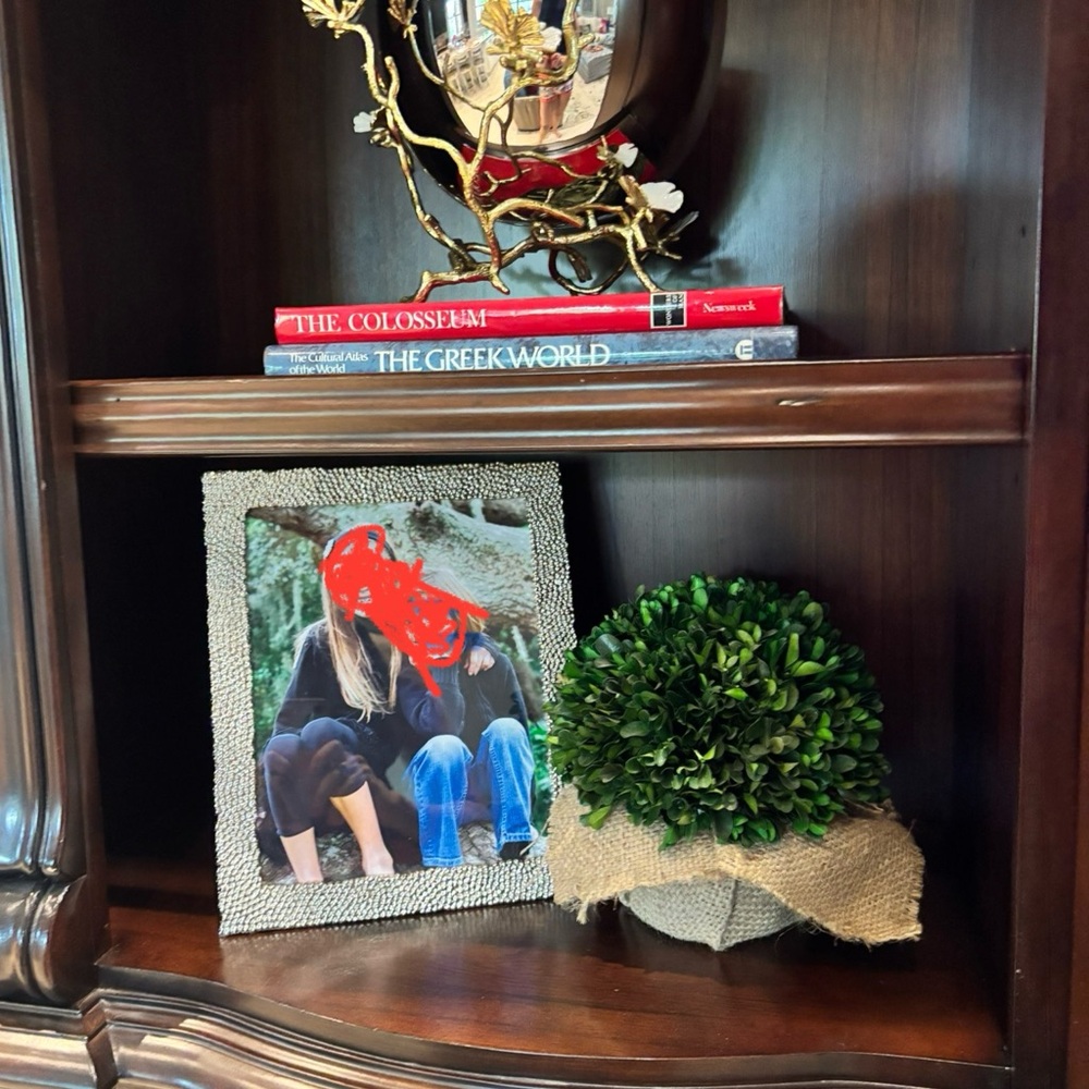 Ballard Design Charming Preserved boxwood Plant wrapped in Burlap